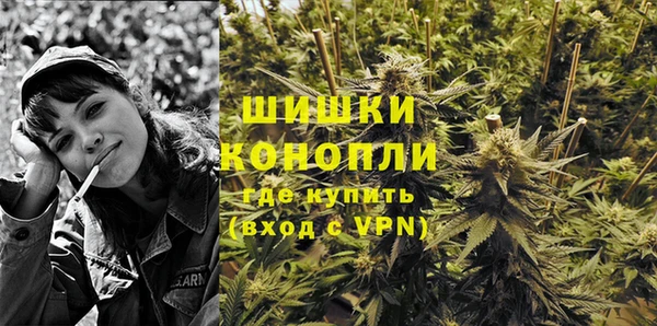 сатива Михайловск