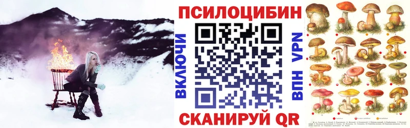 Галлюциногенные грибы прущие грибы  Купить где  Балтийск 